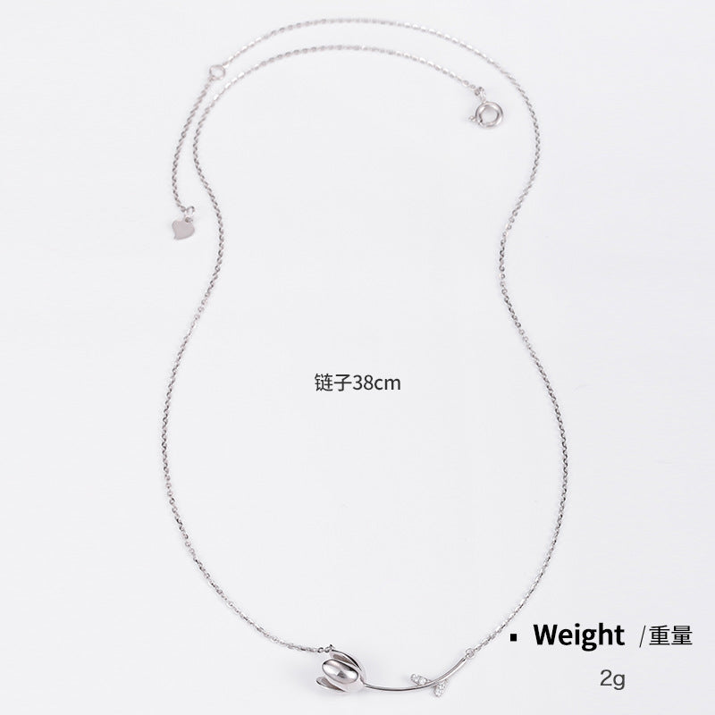 NSN00101純銀電鍍真金鑲鋯項鏈女 日韓輕奢小眾高端節日送禮ins鎖骨鏈kj202104